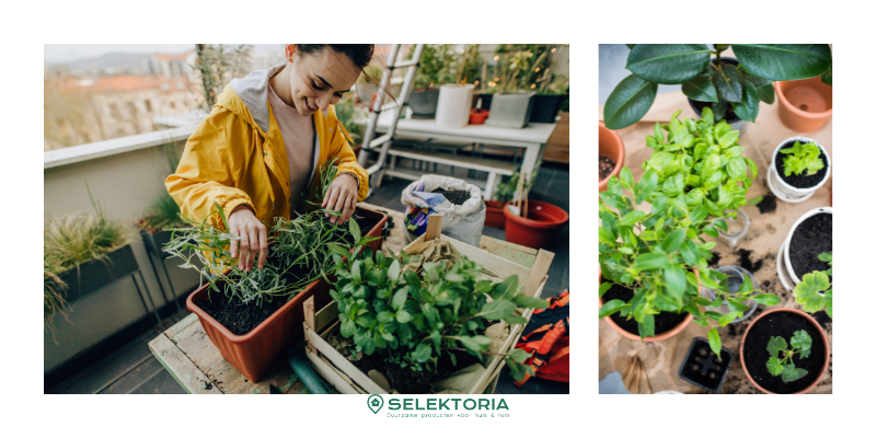 moestuintje op het balkon